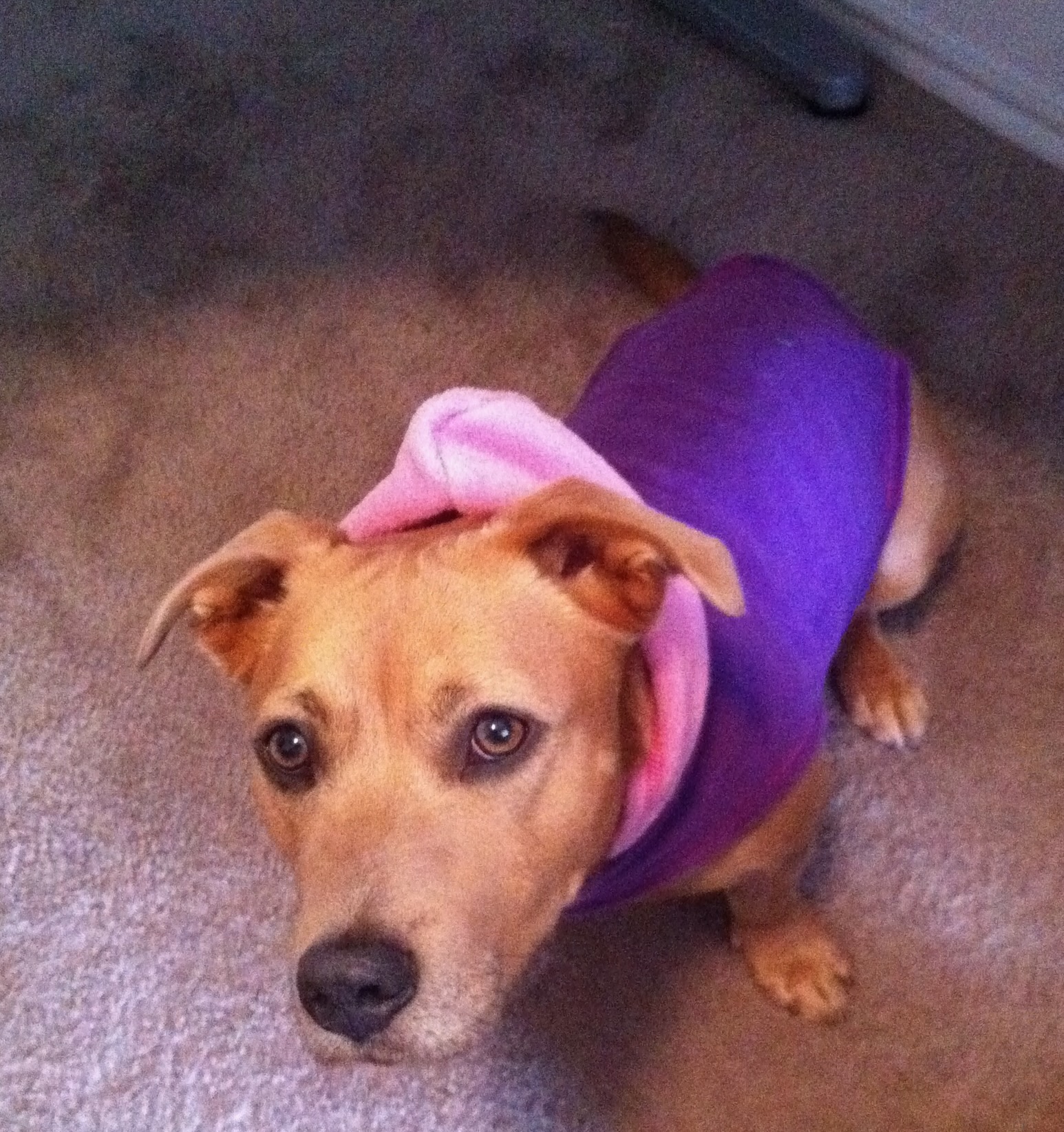 Kira photo 4