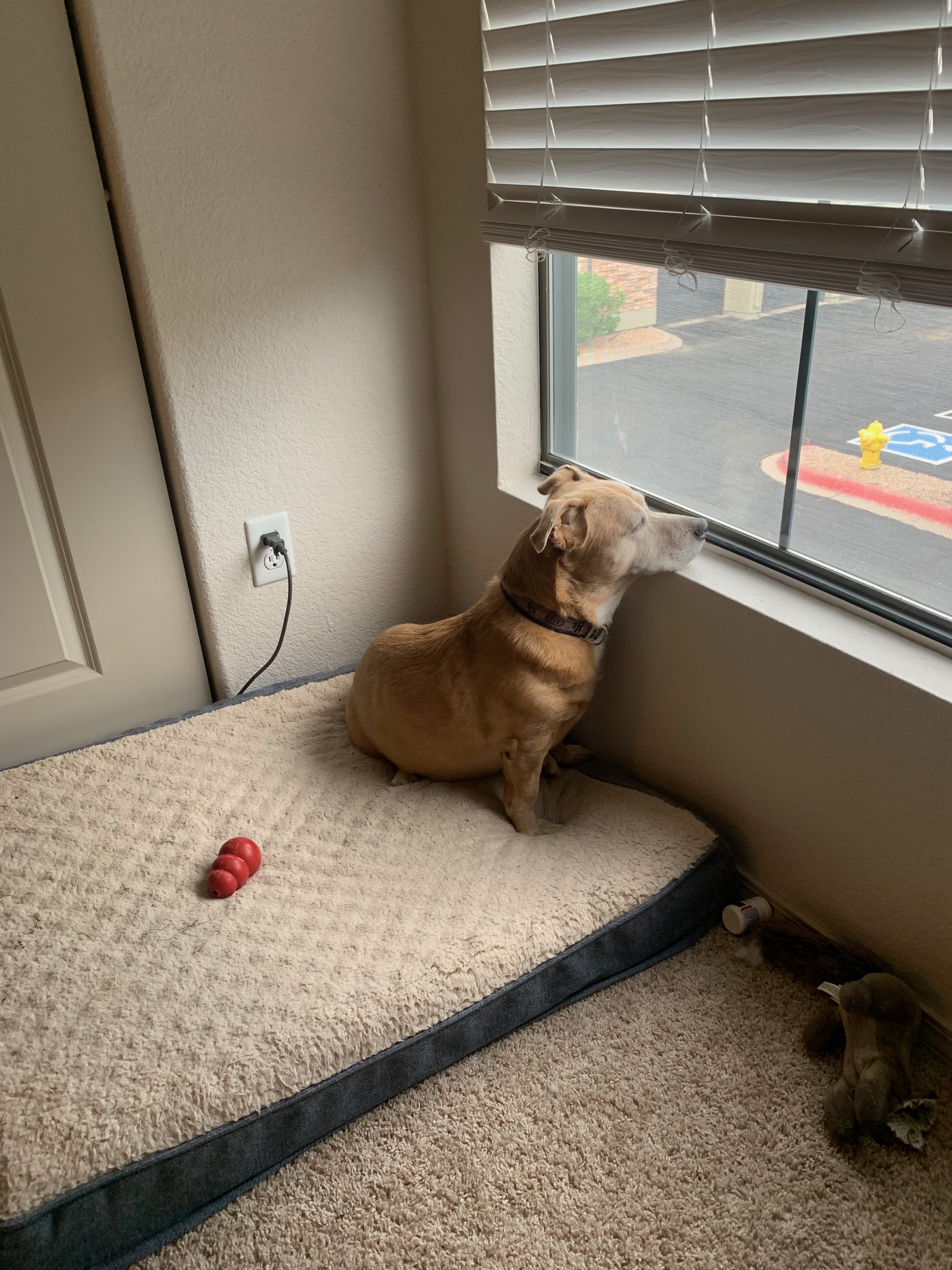 Kira photo 16