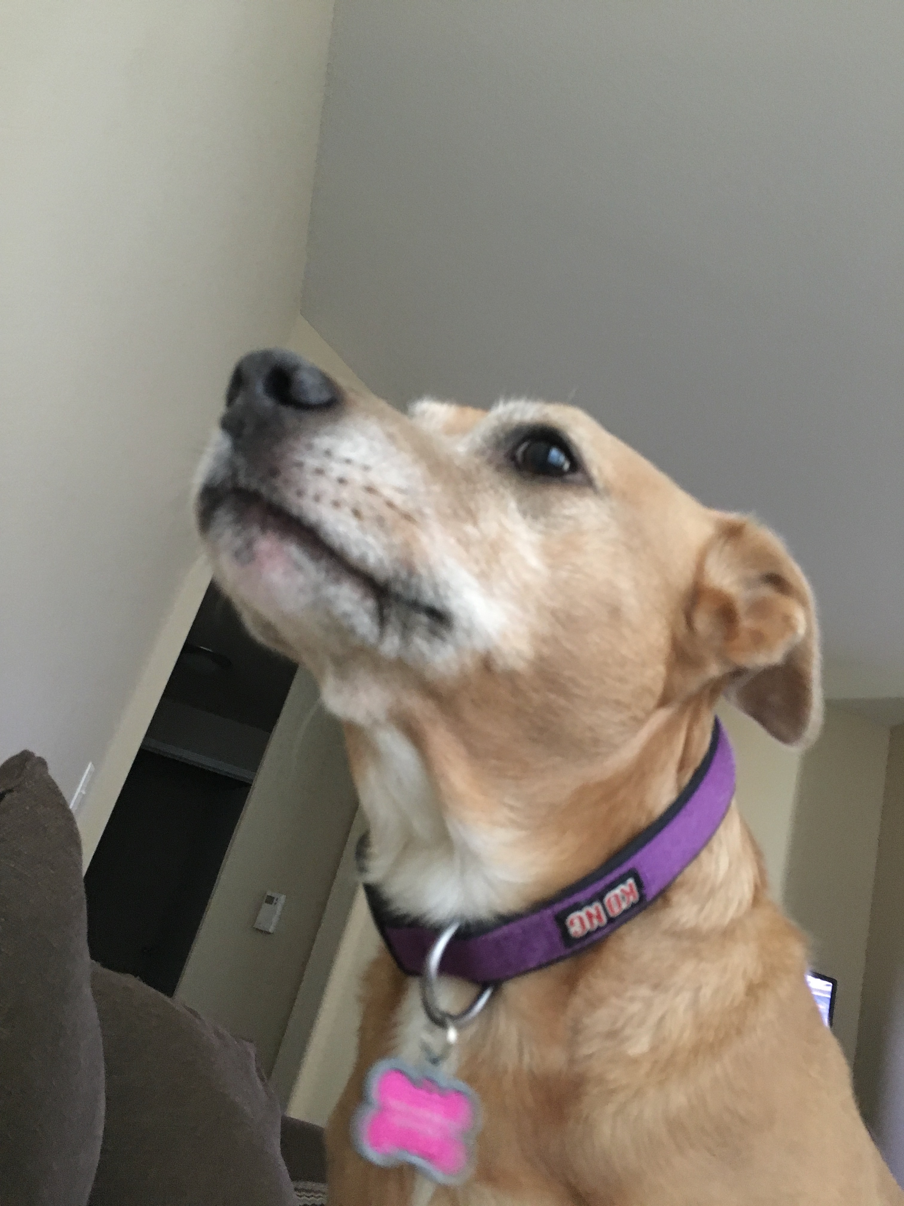 Kira photo 1